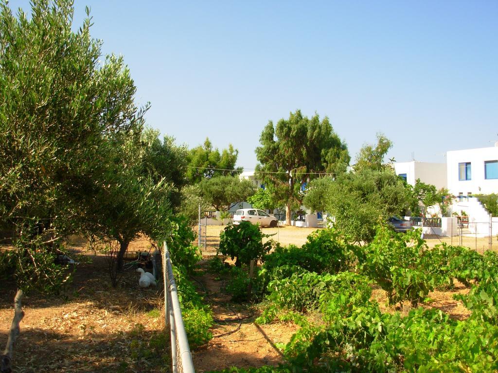 Apartamento Horizon View Amoopi